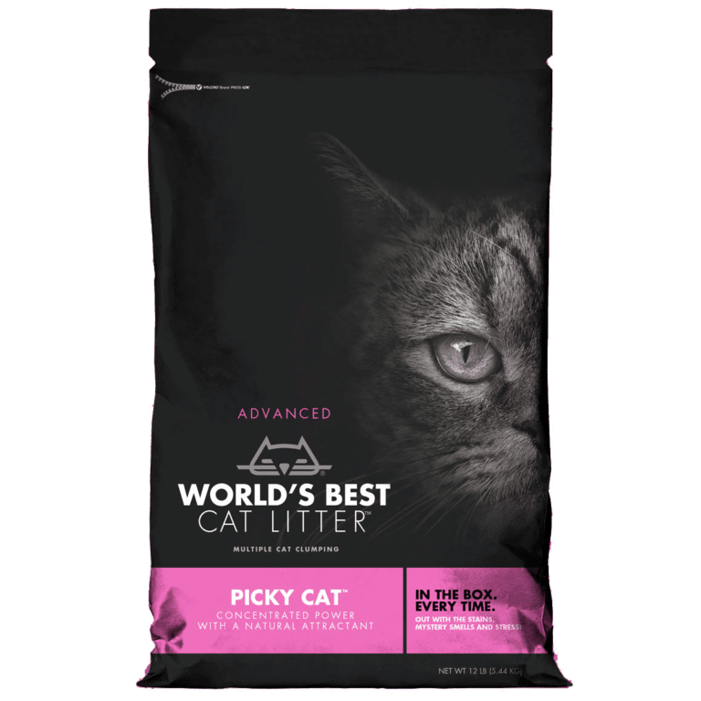 Best cat litter on the outlet market