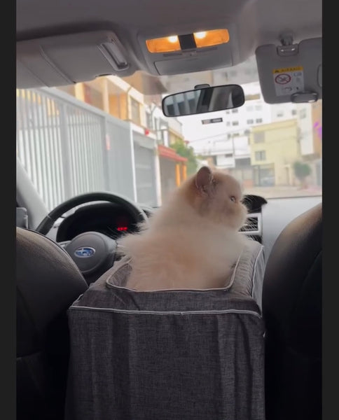 ASIENTO PARA GATOS PARA EL AUTO