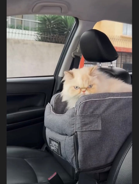 ASIENTO PARA GATOS PARA EL AUTO