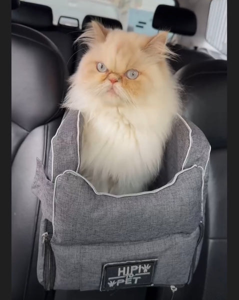 ASIENTO PARA GATOS PARA EL AUTO