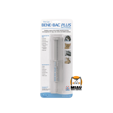 BENEBAC PLUS GEL GATOS