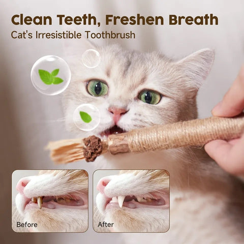 MATATABI DENTAL STICK