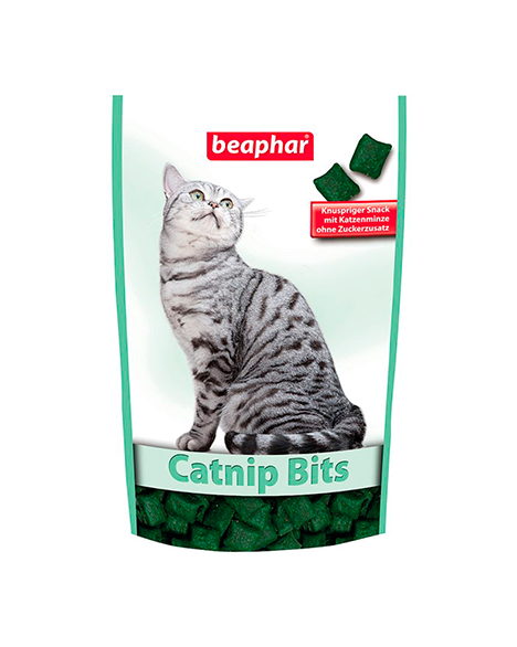 Catnip snacks clearance